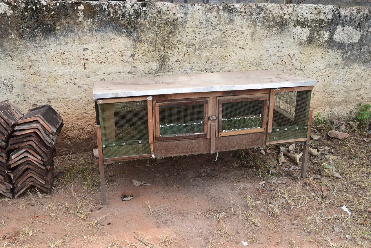 Chicken coop structure for poultry housing